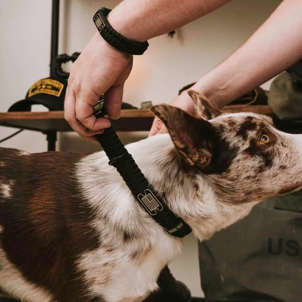 The Hero Company’s Never Forgotten Men's Bracelet & Dog Paracord Collar Bundle